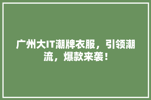 广州大IT潮牌衣服，引领潮流，爆款来袭！