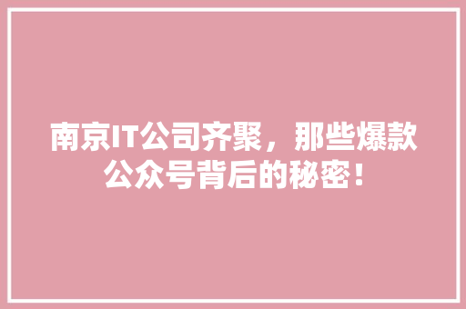 南京IT公司齐聚，那些爆款公众号背后的秘密！