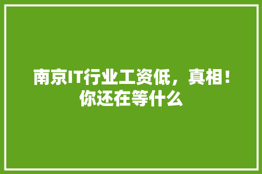 南京IT行业工资低，真相！你还在等什么
