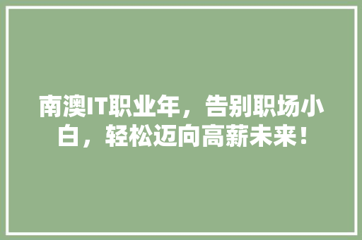 南澳IT职业年，告别职场小白，轻松迈向高薪未来！
