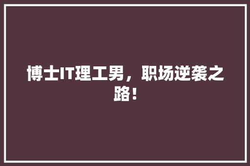 博士IT理工男，职场逆袭之路！