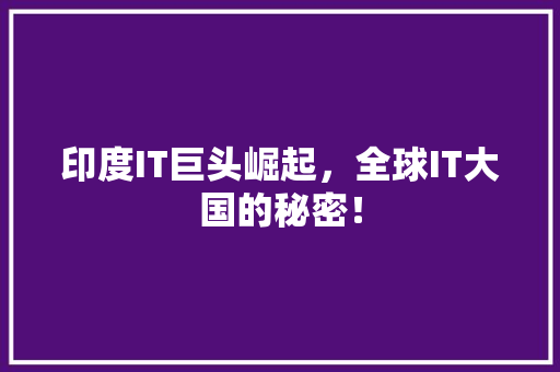 印度IT巨头崛起，全球IT大国的秘密！