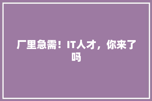 厂里急需！IT人才，你来了吗
