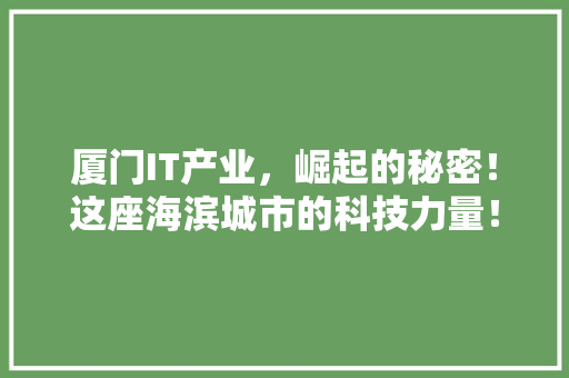 厦门IT产业，崛起的秘密！这座海滨城市的科技力量！