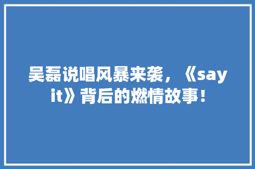 吴磊说唱风暴来袭，《sayit》背后的燃情故事！