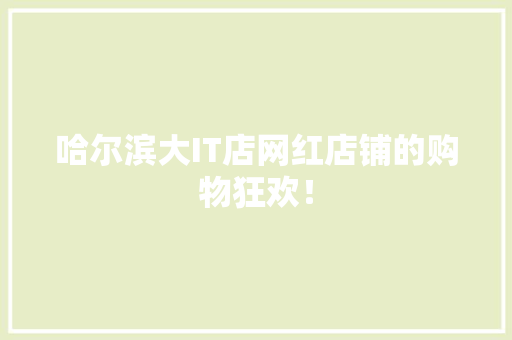 哈尔滨大IT店网红店铺的购物狂欢！