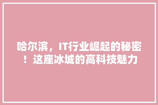 哈尔滨，IT行业崛起的秘密！这座冰城的高科技魅力