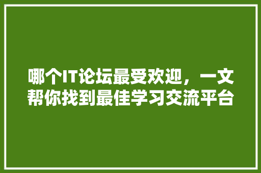 哪个IT论坛最受欢迎，一文帮你找到最佳学习交流平台！