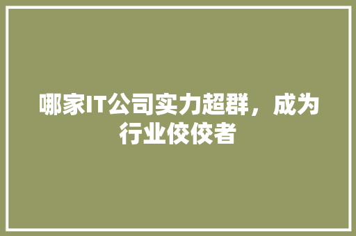 哪家IT公司实力超群，成为行业佼佼者