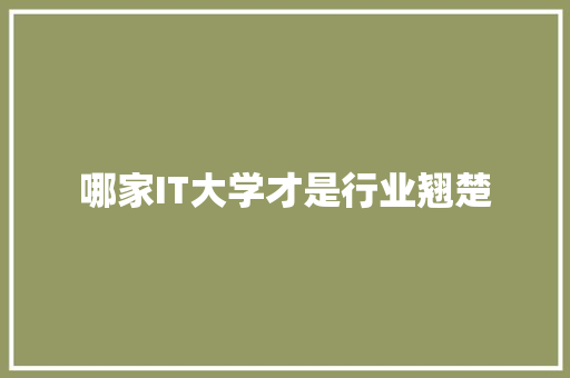 哪家IT大学才是行业翘楚