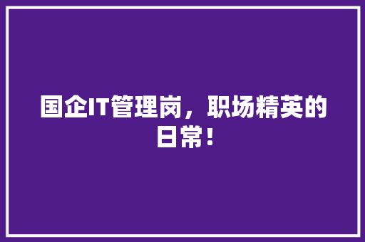 国企IT管理岗，职场精英的日常！
