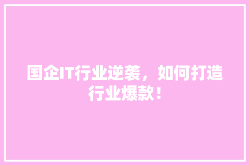 国企IT行业逆袭，如何打造行业爆款！