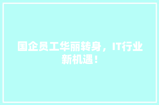 国企员工华丽转身，IT行业新机遇！