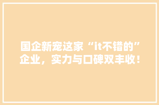 国企新宠这家“it不错的”企业，实力与口碑双丰收！