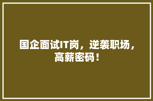 国企面试IT岗，逆袭职场，高薪密码！