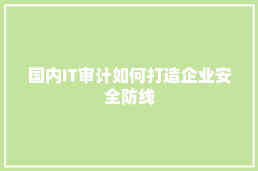 国内IT审计如何打造企业安全防线