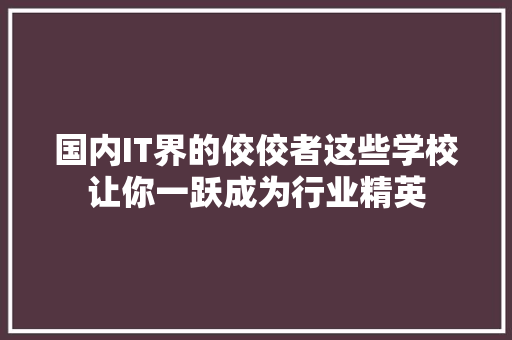 国内IT界的佼佼者这些学校让你一跃成为行业精英