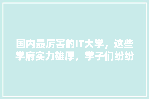 国内最厉害的IT大学，这些学府实力雄厚，学子们纷纷慕名而来！