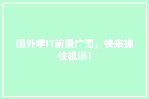 国外学IT前景广阔，快来抓住机遇！