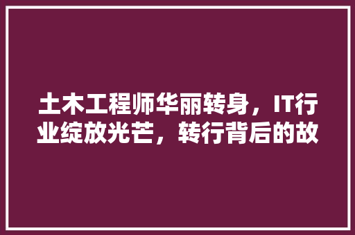 土木工程师华丽转身，IT行业绽放光芒，转行背后的故事！
