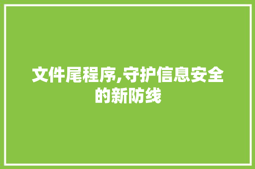 文件尾程序,守护信息安全的新防线 商务信函