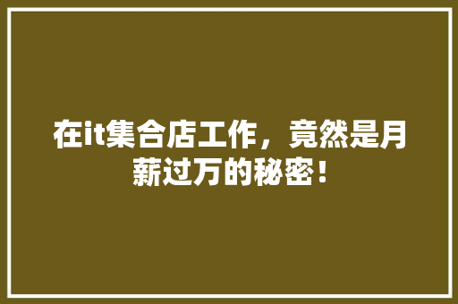 在it集合店工作，竟然是月薪过万的秘密！