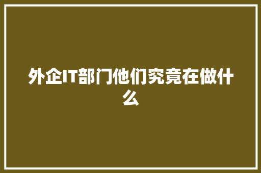 外企IT部门他们究竟在做什么