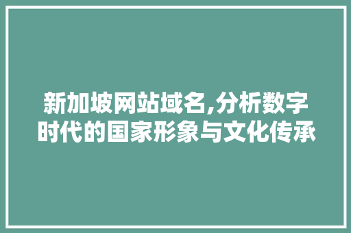 新加坡网站域名,分析数字时代的国家形象与文化传承