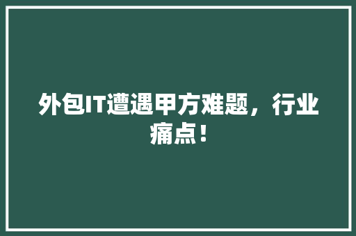 外包IT遭遇甲方难题，行业痛点！