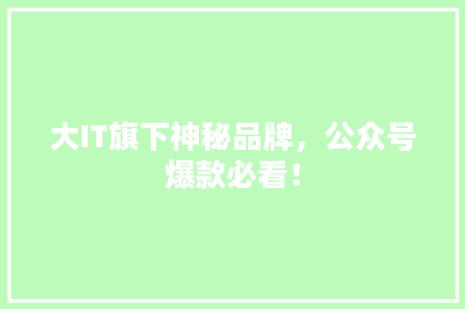 大IT旗下神秘品牌，公众号爆款必看！