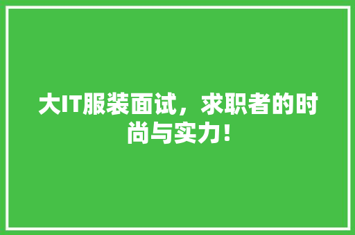 大IT服装面试，求职者的时尚与实力！