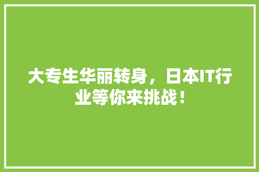 大专生华丽转身，日本IT行业等你来挑战！