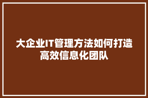 大企业IT管理方法如何打造高效信息化团队
