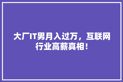大厂IT男月入过万，互联网行业高薪真相！