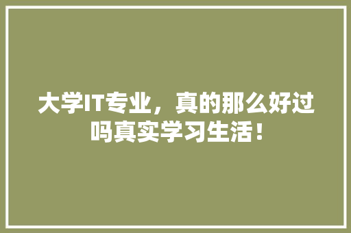 大学IT专业，真的那么好过吗真实学习生活！