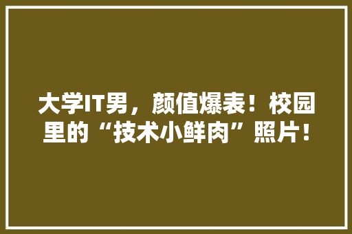 大学IT男，颜值爆表！校园里的“技术小鲜肉”照片！