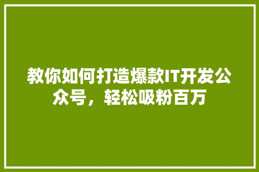 教你如何打造爆款IT开发公众号，轻松吸粉百万 项目报告