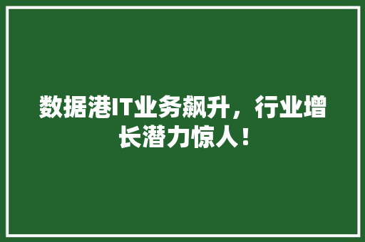 数据港IT业务飙升，行业增长潜力惊人！ 缓存Redis