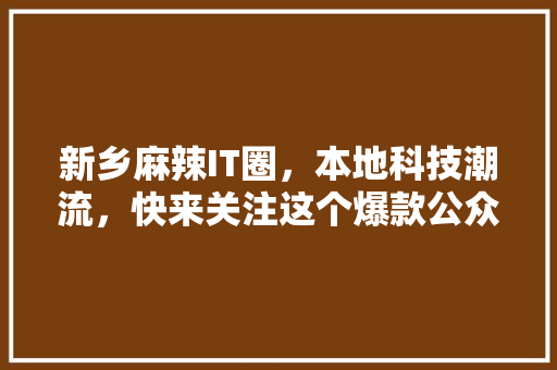 新乡麻辣IT圈，本地科技潮流，快来关注这个爆款公众号！ 网站建设