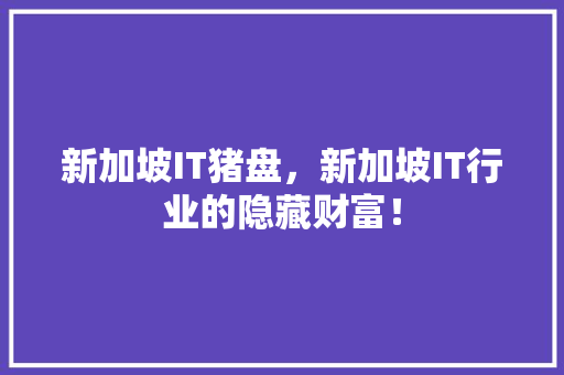 新加坡IT猪盘，新加坡IT行业的隐藏财富！