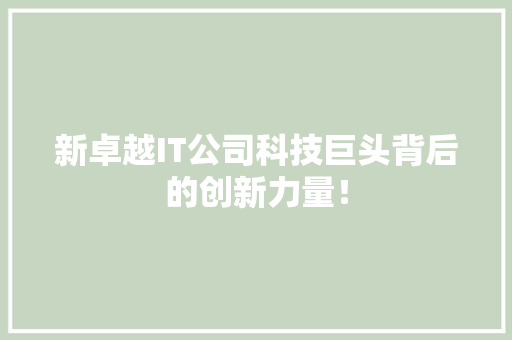 新卓越IT公司科技巨头背后的创新力量！