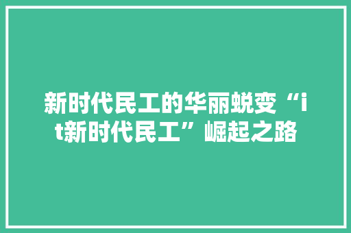 新时代民工的华丽蜕变“it新时代民工”崛起之路