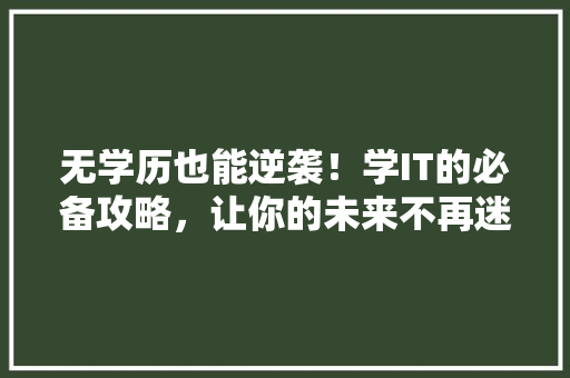 无学历也能逆袭！学IT的必备攻略，让你的未来不再迷茫 响应式设计
