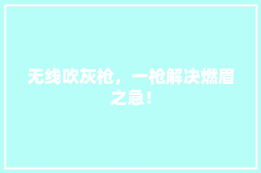 无线吹灰枪，一枪解决燃眉之急！