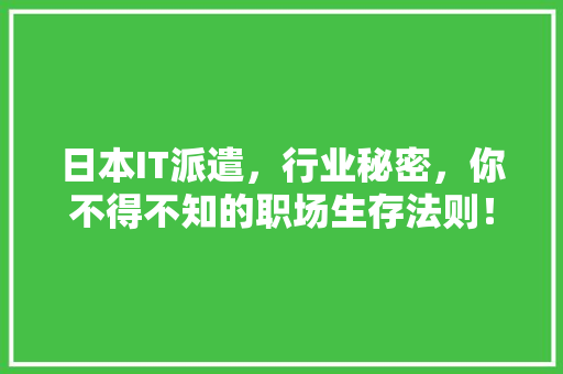 日本IT派遣，行业秘密，你不得不知的职场生存法则！