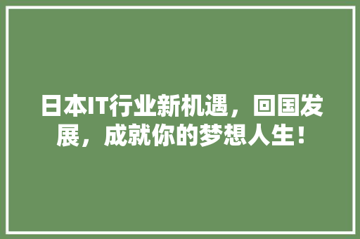 日本IT行业新机遇，回国发展，成就你的梦想人生！ 项目报告