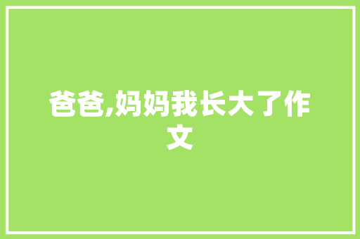 日本“IT男”退休引发热议，日本企业养老新趋势！