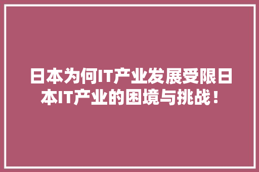 日本为何IT产业发展受限日本IT产业的困境与挑战！ 前端技术