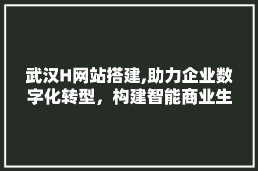 武汉H网站搭建,助力企业数字化转型，构建智能商业生态 MySQL