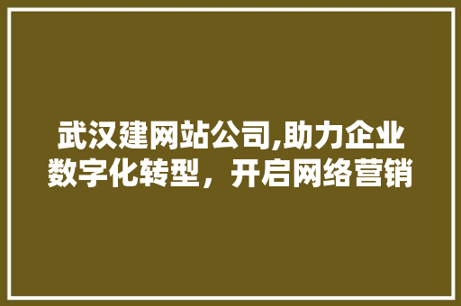 武汉建网站公司,助力企业数字化转型，开启网络营销新篇章 后端技术